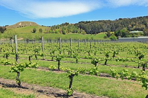 Photo of property in 307 Church Road, Greenmeadows, Napier, 4112