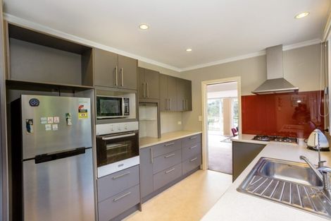 Photo of property in 13 Kinvig Street, Andersons Bay, Dunedin, 9013