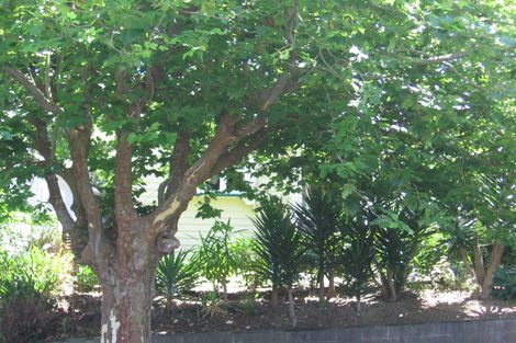 Photo of property in 15 St Albans Avenue, Mount Eden, Auckland, 1024