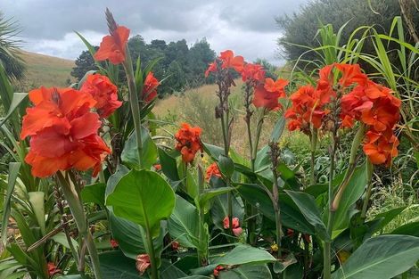 Photo of property in 1665 Matapouri Road, Matapouri, Whangarei, 0173