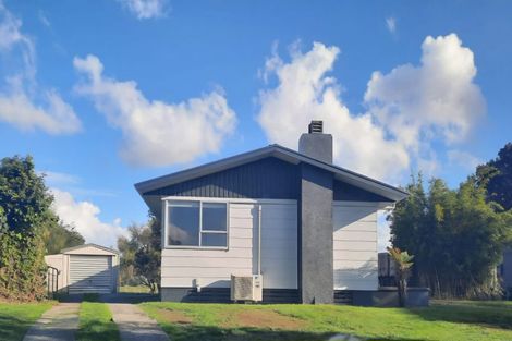 Photo of property in 55 James Henry Crescent, Huntly, 3700