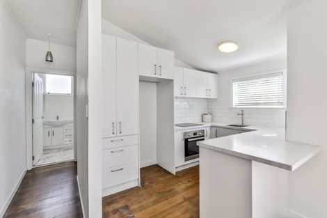 Photo of property in 93 Williamson Avenue, Grey Lynn, Auckland, 1021