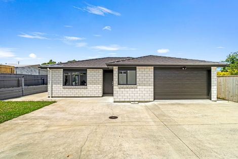Photo of property in 3a Hutchison Crescent, Durie Hill, Whanganui, 4500