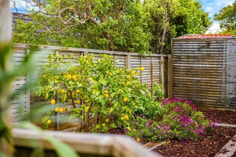Photo of property in 51 Nelson Avenue, Aotea, Porirua, 5024