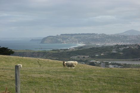 Photo of property in 93 Centre Road, Ocean Grove, Dunedin, 9077