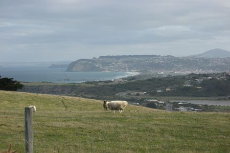 Photo of property in 93 Centre Road, Ocean Grove, Dunedin, 9077