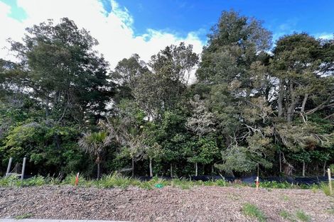 Photo of property in 11 Dishys Road, Flat Bush, Auckland, 2019