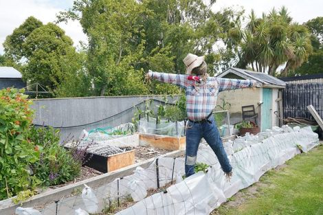 Photo of property in 171 Wainoni Road, Avondale, Christchurch, 8061