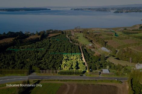 Photo of property in 229 Athenree Road, Athenree, Waihi Beach, 3177