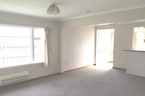 Photo of property in 141 Sparks Road, Hoon Hay, Christchurch, 8025