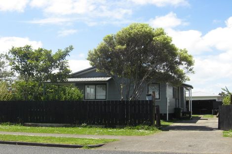 Photo of property in 99 Maplesden Drive, Clendon Park, Auckland, 2103