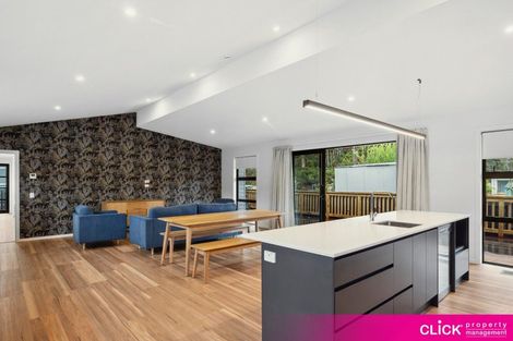 Photo of property in 19 Northumberland Street, North East Valley, Dunedin, 9010