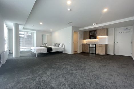 Photo of property in Pinnacle Apartments, W303/160 Victoria Street, Te Aro, Wellington, 6011
