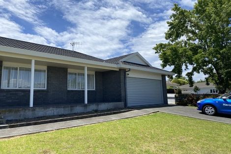 Photo of property in 1b Chambers Street, Havelock North, 4130