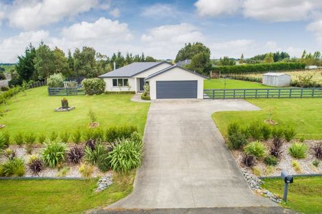Photo of property in 12 Wapiti Avenue, Feilding, 4775