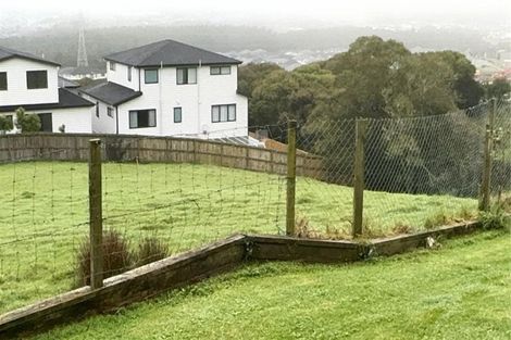 Photo of property in 20 Murphys Road, Flat Bush, Auckland, 2019