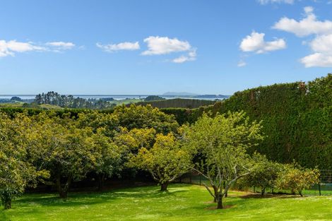 Photo of property in 311 Wainui Road South, Whakamarama, Katikati, 3181