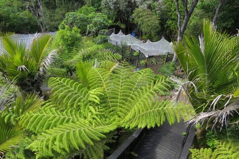 Photo of property in 515 Tuateawa Road, Tuateawa, Coromandel, 3583