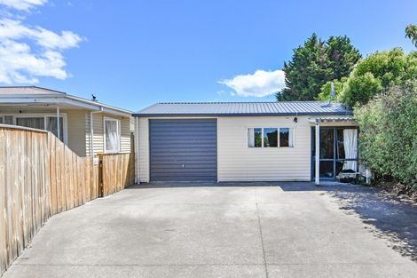 Photo of property in 1239 Cunningham Crescent, Mayfair, Hastings, 4122