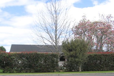 Photo of property in 230 Grange Road, Otumoetai, Tauranga, 3110