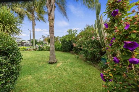 Photo of property in 91 Fitzroy Avenue, Fitzroy, Hamilton, 3206