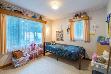 Photo of property in 30 Village Loop Road, Waipori Falls, Outram, 9073