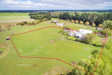 Photo of property in 283 Forlong Road, Colyton, Feilding, 4775