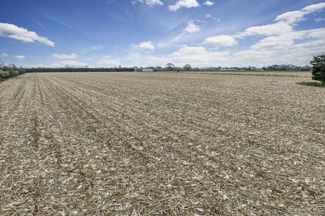 Photo of property in 167 Richmond Road, Clive, Hastings, 4180