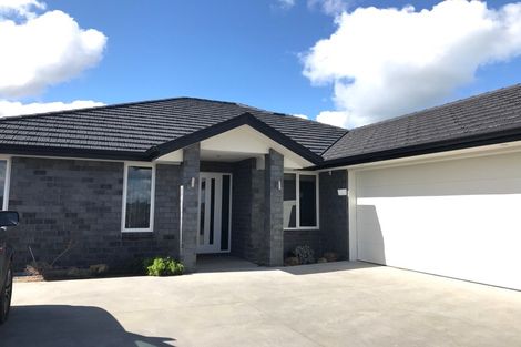 Photo of property in 132 Hillpark Drive, Pokeno, 2402