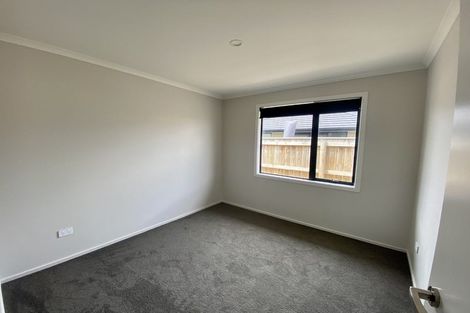 Photo of property in 17 Feltham Street, Richmond, 7020