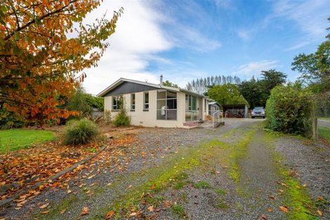 Photo of property in 73 Main North Road, Geraldine, 7930