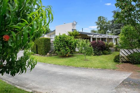 Photo of property in 4 Elizabeth Avenue, Morrinsville, 3300