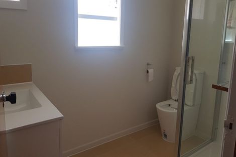 Photo of property in 28 Camellia Place, Mount Roskill, Auckland, 1041