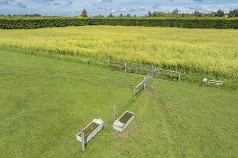 Photo of property in 1797 Clintons Road, Darfield, 7571