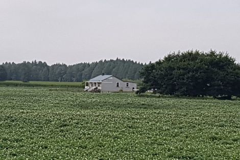 Photo of property in 53 Mercer Ferry Road, Mercer, Tuakau, 2696