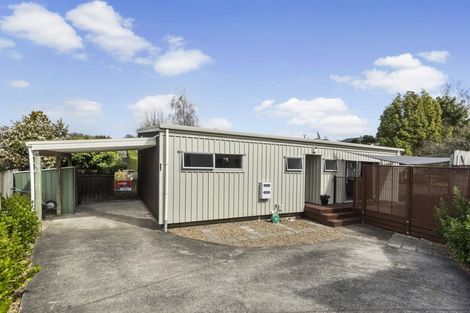 Photo of property in 17b Carey Street, Maeroa, Hamilton, 3200