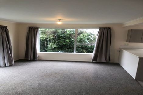 Photo of property in 4/87 Rakau Road, Hataitai, Wellington, 6021