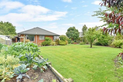Photo of property in 35 Kingsbury Avenue, Rangiora, 7400