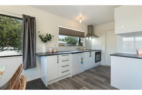 Photo of property in 8a Solomon Street, Brookfield, Tauranga, 3110