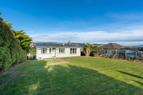 Photo of property in 53 Panmure Avenue, Calton Hill, Dunedin, 9012