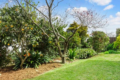 Photo of property in 36b George Street, Morrinsville, 3300