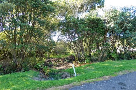 Photo of property in 43-44 Dole Street, Ngakawau, 7824