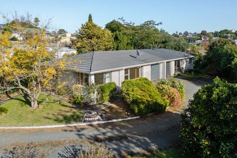 Photo of property in 12b Hazelwood Avenue, Dinsdale, Hamilton, 3204