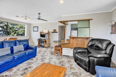 Photo of property in 13 Flint Road West, Stratford, 4332