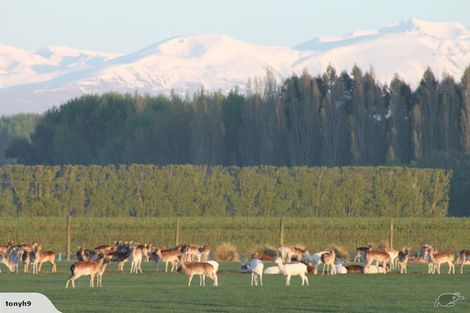 Photo of property in 18 Meadowlinks Lane, Pleasant Point, 7974