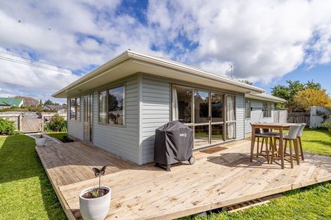 Photo of property in 1 Sackville Street, Martinborough, 5711
