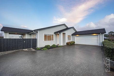 Photo of property in 15 Turpin Road, Riverhead, 0820