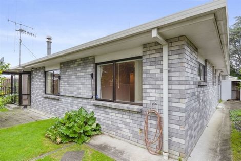 Photo of property in 133a Grace Road, Tauranga South, Tauranga, 3112