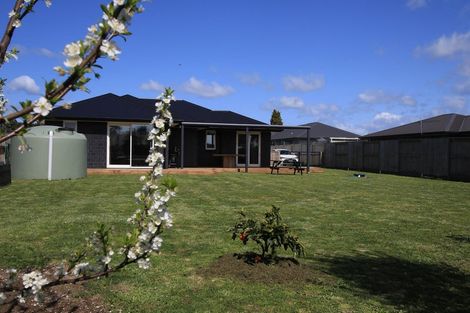 Photo of property in 13 Penelope Place, Pongakawa, Te Puke, 3186