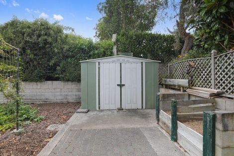 Photo of property in 87 Arrowsmith Avenue, Waipahihi, Taupo, 3330